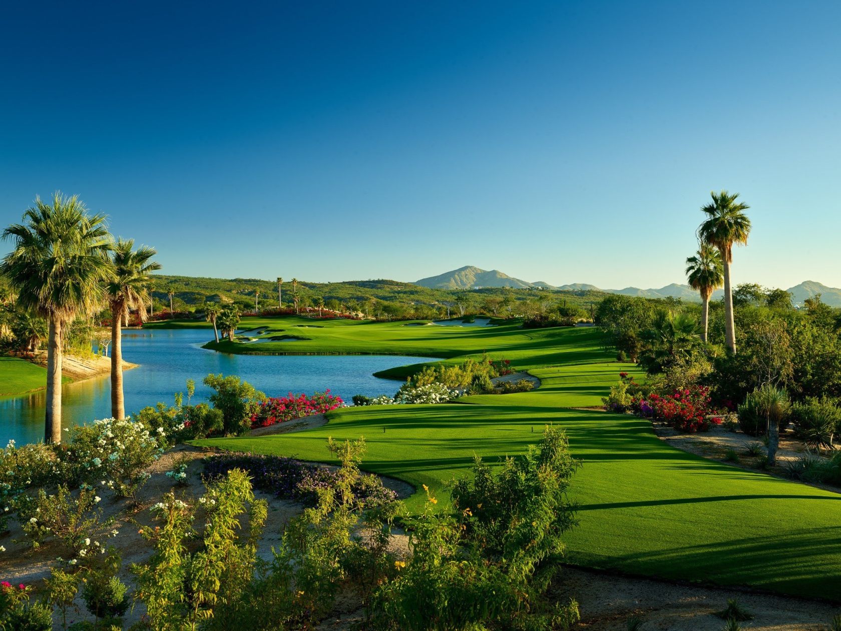 Golf Gallery Chileno Bay Golf and Beach Club